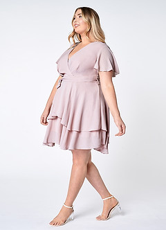 Downright Darling Blushing Pink Ruffled Short Sleeve Mini Dress image12