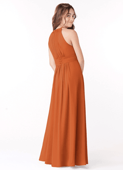 Azazie Bonnie Junior Cinnamon A-Line Pleated Chiffon Dress image3