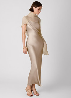 Crystle Maxi Klänning Taupe image2