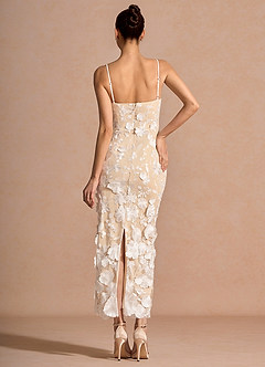 Robe Longue Blanc Cireth image3