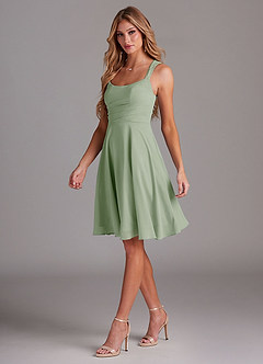 Azazie Vina Bridesmaid Dresses Dusty Sage A-Line Lace Chiffon Dress image4