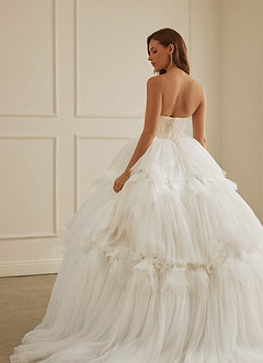 Christian Siriano Bridal for Azazie 2008 Wedding Dresses Diamond White Champagne Ball-Gown Sequins Tulle Dress image11