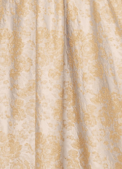 Runa Vintage Champagne Midi Dress image7