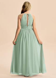 Azazie Noelle Junior Agave A-Line Pleated Chiffon Dress image1