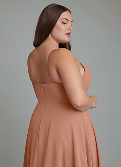 Azazie Amani Bridesmaid Dresses Bronzer A-Line Pleated Chiffon Dress image13