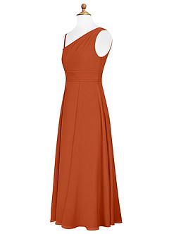 Azazie Dallas Junior Burnt Orange A-Line Pleated Chiffon Dress image8