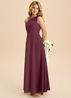 Azazie Phaedra Junior Cabernet A-Line Pleated Chiffon Dress image1