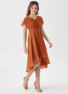 Azazie Graciela Junior Cinnamon A-Line Pleated Chiffon Dress image5