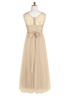 Azazie Georgette Junior Champagne A-Line Lace Tulle Dress image9