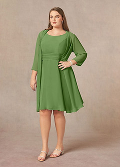 Azazie Shirley Mother of the Bride Dresses Basil A-Line Scoop Pleated Chiffon Dress image10