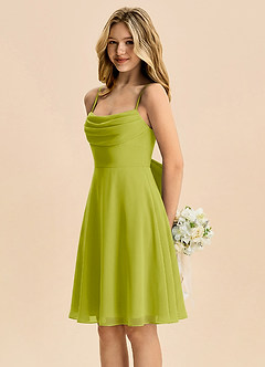 Azazie Bear Junior Lemongrass A-Line Pleated Chiffon Dress image4