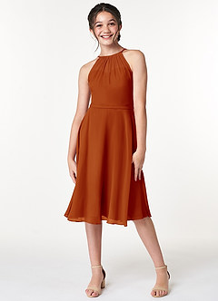 Azazie Alayna Junior Agave A-Line Pleated Chiffon Dress image4