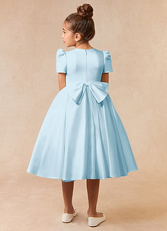 Azazie Anirra Flower Girl Dresses Sky Blue Ball-Gown Pleated Matte Satin Dress image4
