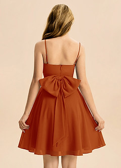 Azazie Bear Junior Paprika A-Line Pleated Chiffon Dress image2