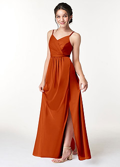 Azazie Luxy Junior Paprika Pleated Mesh Dress image4