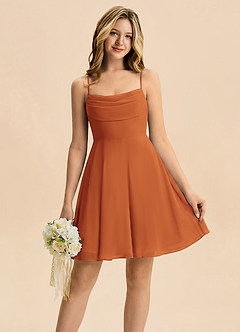Azazie Bear Junior Cinnamon A-Line Pleated Chiffon Dress image1