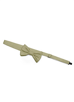 front Boy's Matte Satin Pre-Tied Bow Tie
