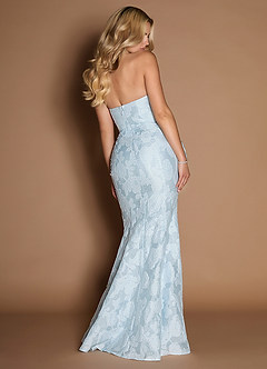 Amirah Pale Blue Gown image2