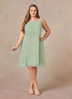 Azazie Shirley Mother of the Bride Dresses Dusty Sage A-Line Scoop Pleated Chiffon Dress image11