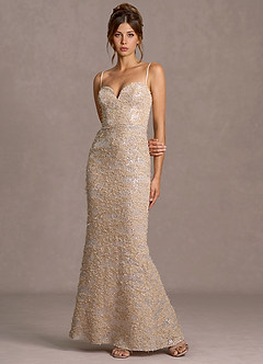 Daphne Champagne Sequins Maxi Dress image5