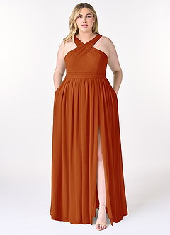 Azazie Elvira Bridesmaid Dresses Paprika A-Line Pleated Chiffon Dress image7