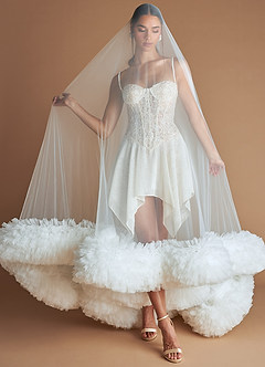 Ariana Vanilla Mini Dress & Veil image5