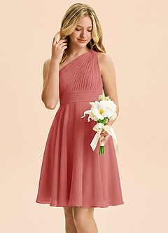 Azazie Charlize Junior Antique Rose A-Line Pleated Chiffon Dress image4