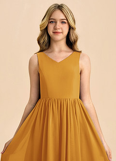 Azazie Hathaway Junior Butterscotch A-Line Bow Chiffon Dress image6