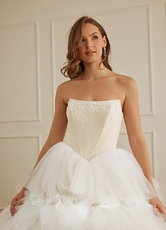 Christian Siriano Bridal for Azazie 2008 Wedding Dresses Diamond White Champagne Ball-Gown Sequins Tulle Dress image9