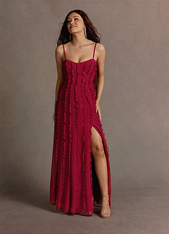 Meghan Ruby Red Maxi Dress image3
