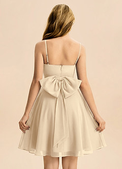 Azazie Bear Junior Champagne A-Line Pleated Chiffon Dress image2