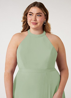 Azazie Clarice Bridesmaid Dresses Dusty Sage A-Line Halter Chiffon Dress image6