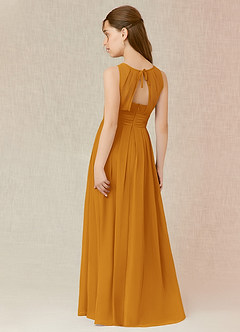 Azazie Bibiane Junior Butterscotch A-Line Pleated Chiffon Dress image9