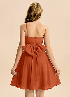 Azazie Bear Junior Burnt Orange A-Line Pleated Chiffon Dress image2
