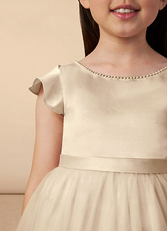 Azazie Aster Final Sale Dusty Rose A-Line with Sleeves Tulle Dress image3