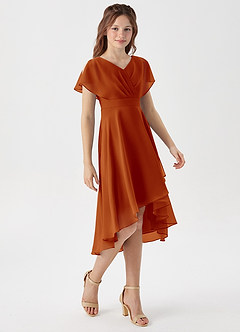Azazie Graciela Junior Paprika A-Line Pleated Chiffon Dress image5