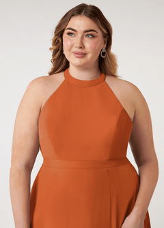 Azazie Clarice Bridesmaid Dresses Cinnamon A-Line Halter Chiffon Dress image13