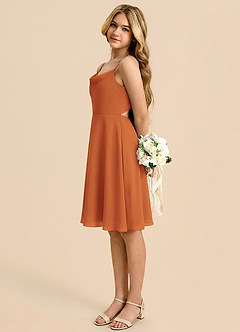 Azazie Shale Cinnamon A-Line Bow Chiffon Dress image1