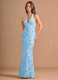 Dulcie Sky Blue Maxi Dress image4
