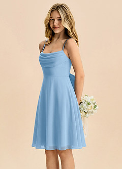 Azazie Bear Junior Powder Blue A-Line Pleated Chiffon Dress image4
