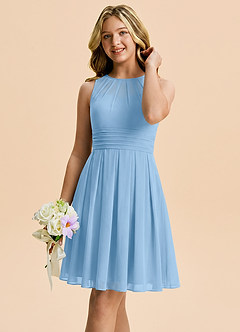 Azazie Bibiane Junior Powder Blue A-Line Pleated Chiffon Dress image4