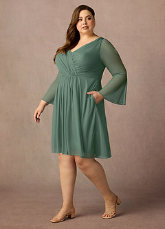 Azazie Teraso Mother of the Bride Dresses Eucalyptus A-Line Pleated Mesh Dress image11