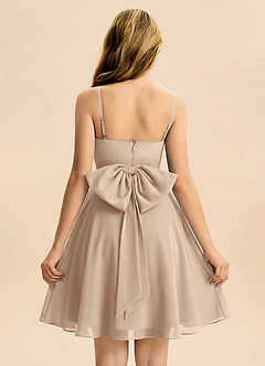 Azazie Bear Junior Taupe A-Line Pleated Chiffon Dress image2
