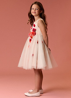 Barbie ♥ Azazie Robe Demoiselle D'honneur Fillette Robe Trapèze en Tulle Sans manches Barbie Multicolore Rose image6