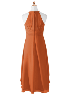 Azazie Linna Junior Cinnamon A-Line Pleated Chiffon Dress image6