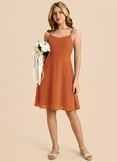 Azazie Shale Cinnamon A-Line Bow Chiffon Dress image5