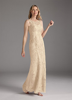 Azazie Whilhelmina At-home Try On Dresses Stormy Mermaid Lace Chiffon Dress image4