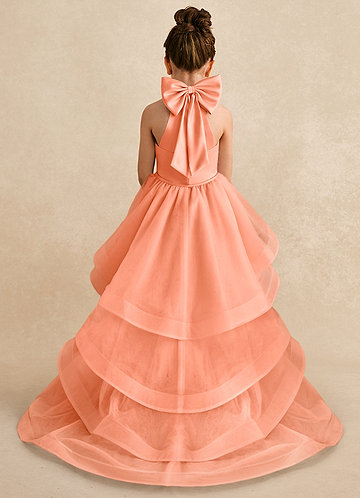 Azazie Bev Flower Girl Dresses Sunset A-Line Convertible Tulle Dress image1