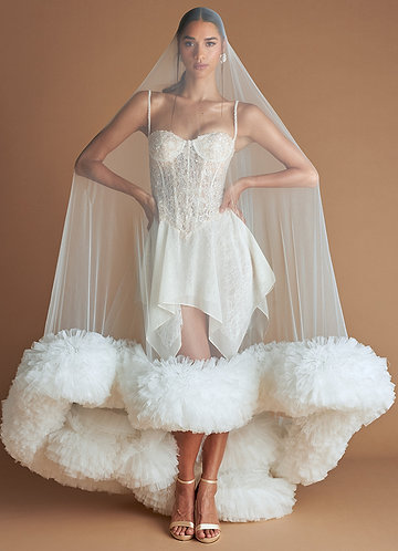 Ariana Vanilla Mini Dress & Veil image1