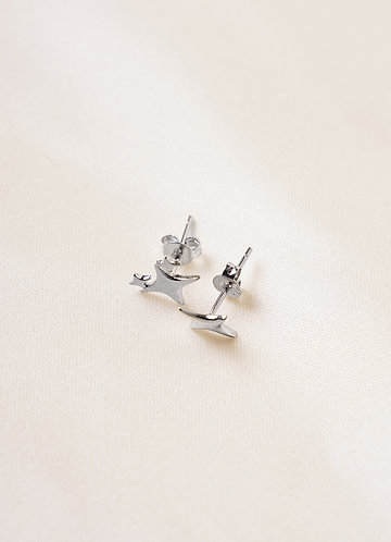 front Star Stud Earrings